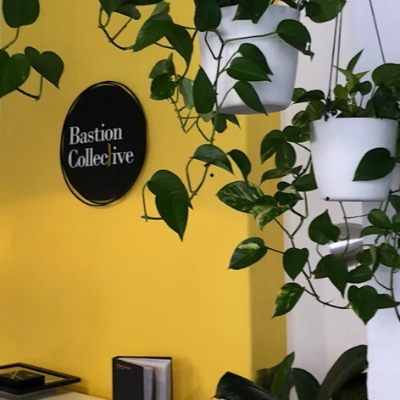 devils ivy hanging white pots devils ivy hanging white pots