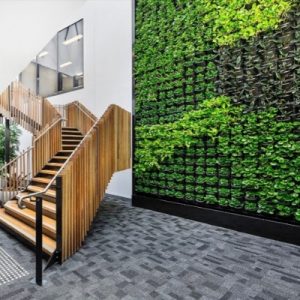 green wall vertical garden office