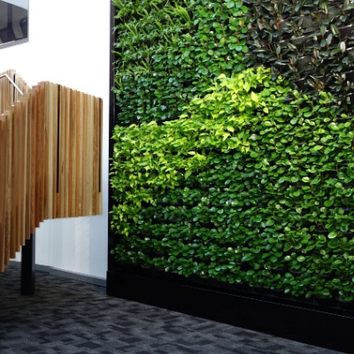 green wall vertical garden office