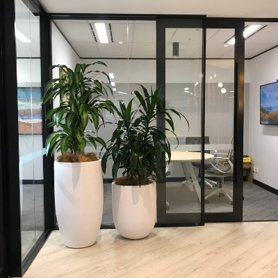 happy plant janet craig white cones reception area happy plant janet craig white cones reception area