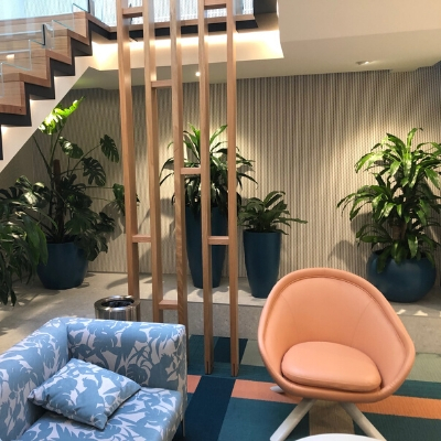 happy plant monstera janet craig in custom colour match pots happy plant monstera janet craig in custom colour match pots