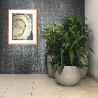 happy plant pothos totem janet craig in concrete custom pots happy plant pothos totem janet craig in concrete custom pots