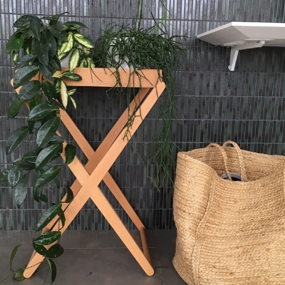 hoya rhipsalis in white pots showroom display hoya rhipsalis in white pots showroom display