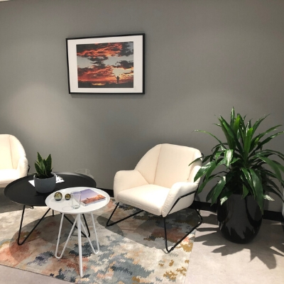 janet craig black cone and sansevieria concrete bowl in office break out janet craig black cone and sansevieria concrete bowl in office break out