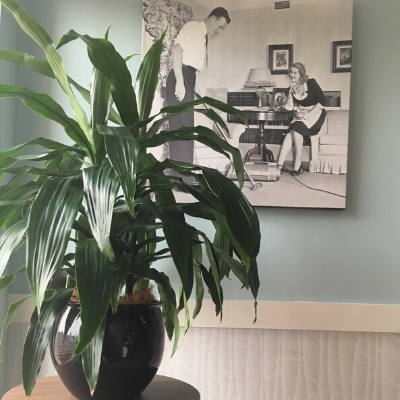 janet craig black luna pot in office janet craig black luna pot in office