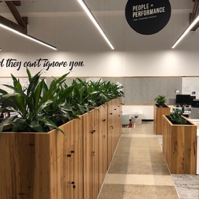 janet craig client joinery planting 400mm x 400mm janet craig client joinery planting 400mm x 400mm