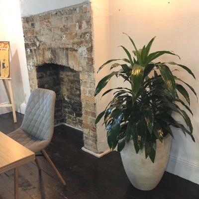 janet craig concrete pot in office janet craig concrete pot in office