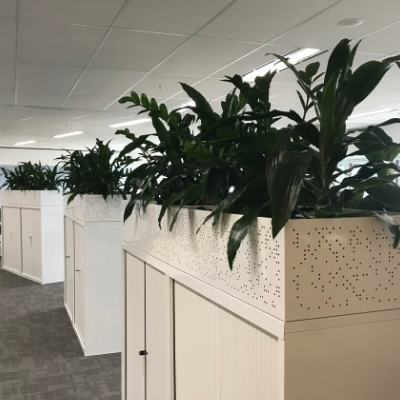 janet craig zanzibar gem plants tambour units 400mm x 400mm janet craig zanzibar gem plants tambour units 400mm x 400mm