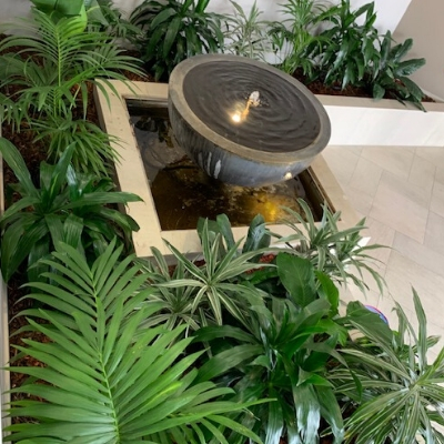 kentia palm janet craig dracaena waterfall feature kentia palm janet craig dracaena waterfall feature