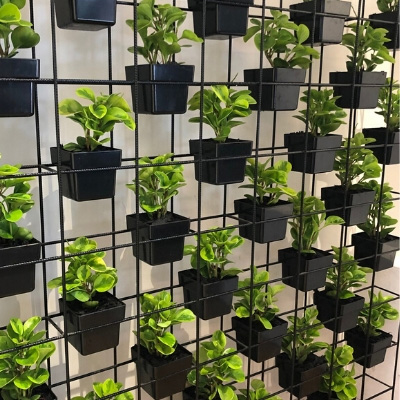 Pot plant vertical garden display in office Pot plant vertical garden display in office - Office Plant Hire Sydney