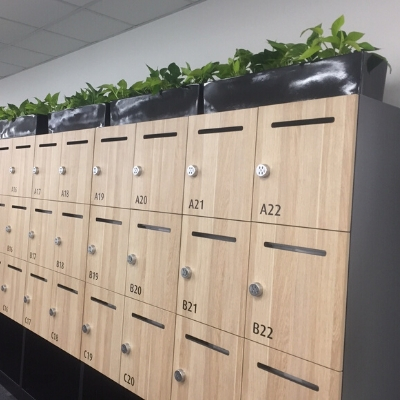pothos troughs on cabinet pothos troughs on cabinet