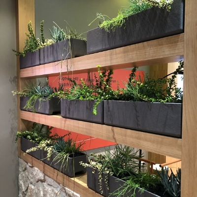 succulents in trough green star office 1 succulents in trough green star office 1