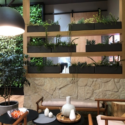 succulents in trough green star office 4 succulents in trough green star office 4