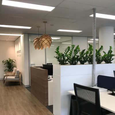 zanzibar gem client tambour unit plants zanzibar gem client tambour unit plants