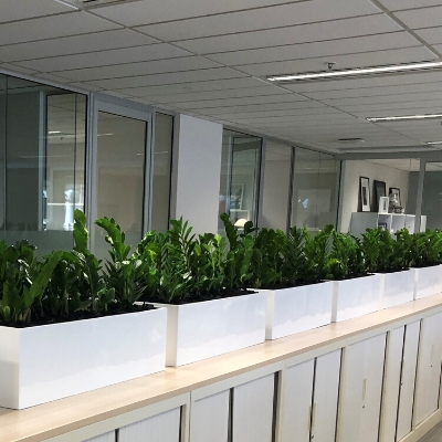 zanzibar gem tambour units zanzibar gem tambour units