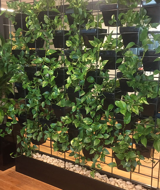 Pot Plant Vertical Garden Walls Pot Plant Vertical Garden Walls