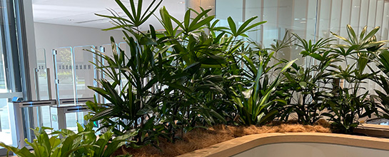 Benefits of Green Star buildings