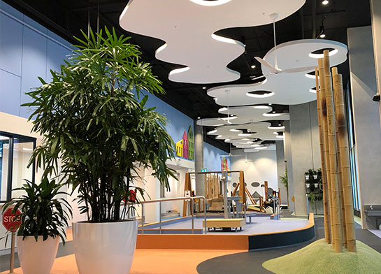 Plants at work, home and school can clear your head