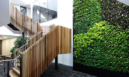 Reduce noise and distractions