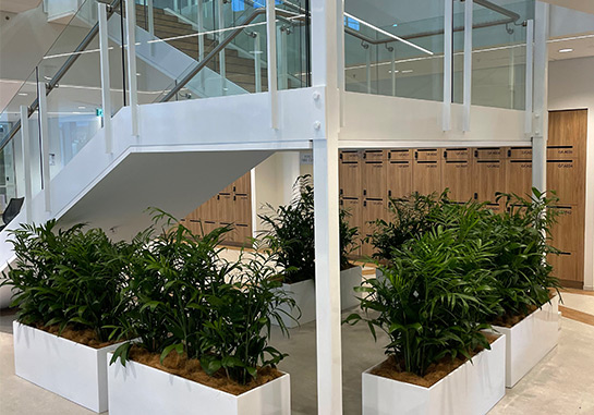 Increase your Green Star Rating