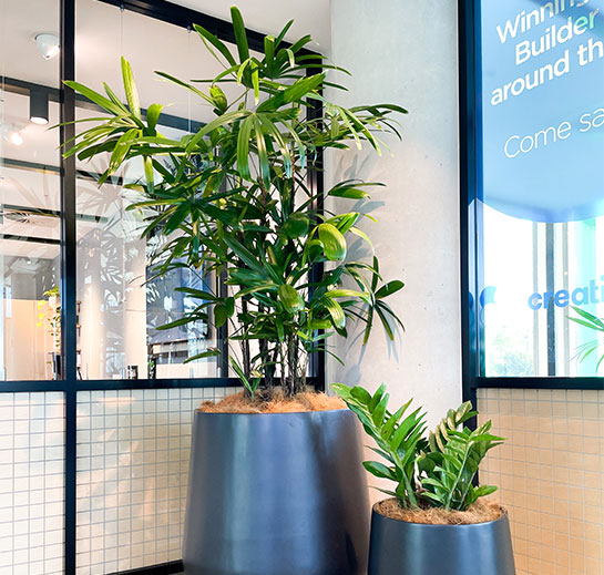 Working with nature inspires creative thinking