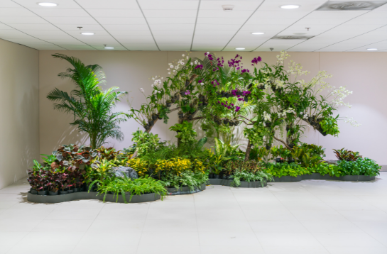 Benefits of biophilic design