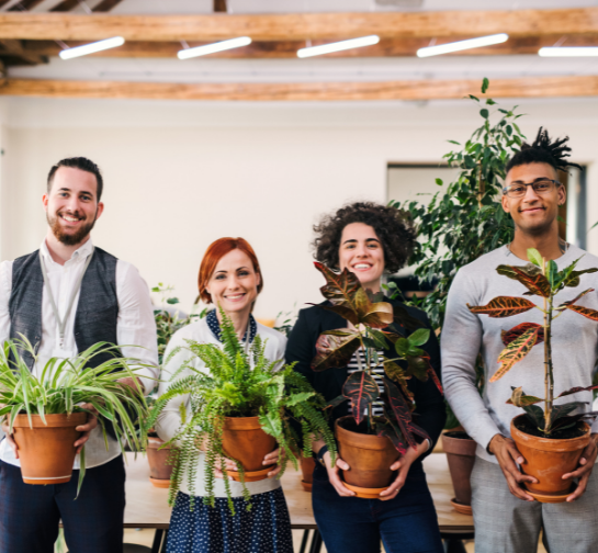 Importance of biophilic design in the workplace