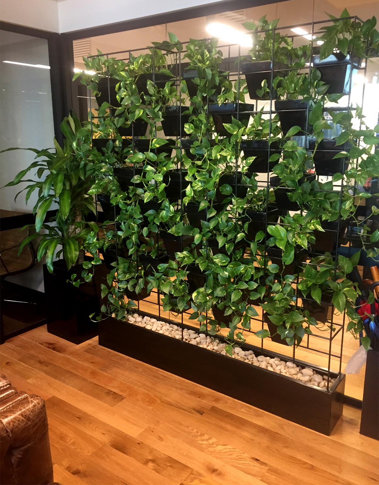 Pot plant vertical wall hire