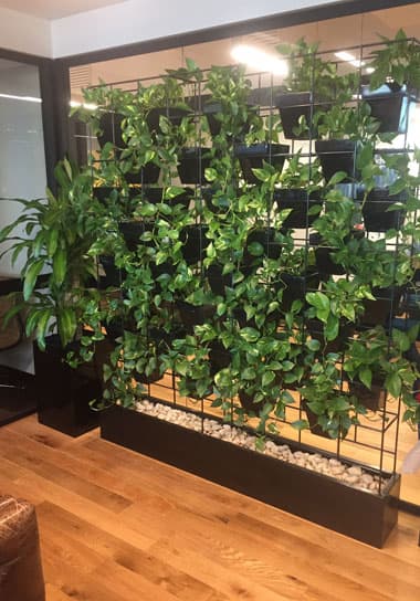 Green Wall Events Hire