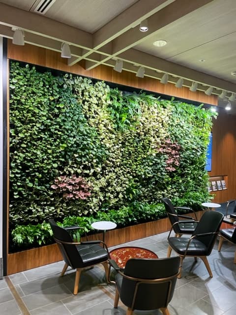 Green Wall Hire Townsville