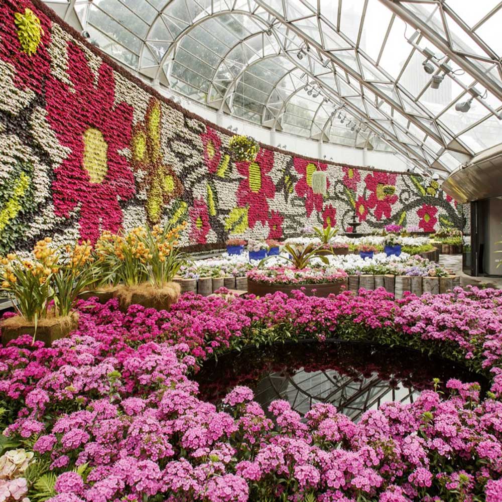 Central Coast Indoor Plant Hire Display