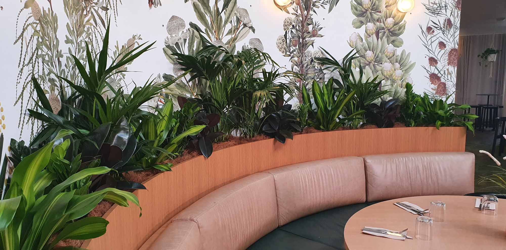 The Best Low Light Indoor Plants for your Office Space