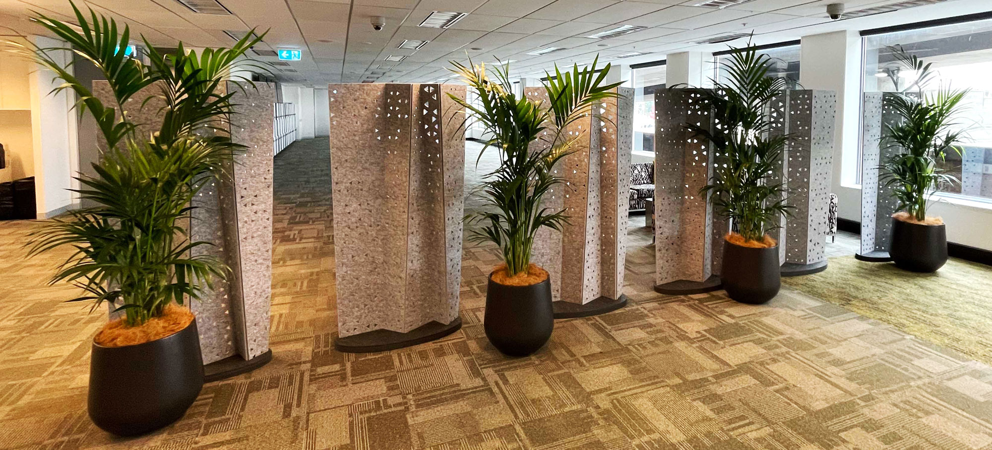 Challenge of Direct Sunlight