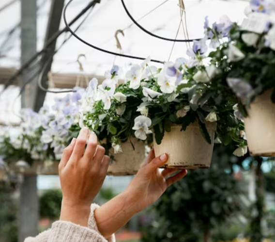 Creative Ways to Incorporate Plants into Your Wedding Decor