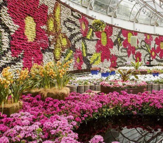 Why You Should Consider Plant Rentals for Your Wedding