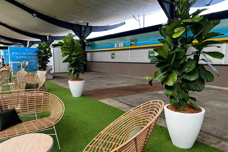 conference plant hire melbourne