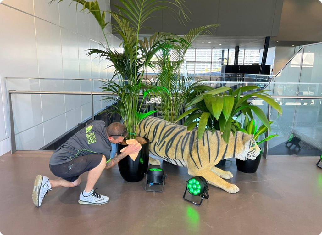 top pick for event plant hire sydney