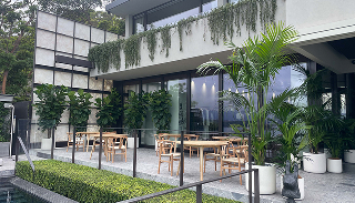 beautiful plants for hire sydney