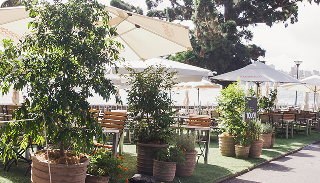 tropical plant event hire