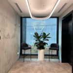 green star indoor plant hire