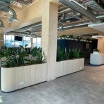 sustainable office plant hire