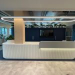 office plant hire for indoor spaces