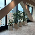 green star plant hire