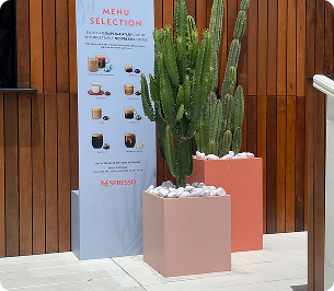cacti for events hire