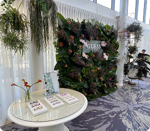 plant hire in sydney