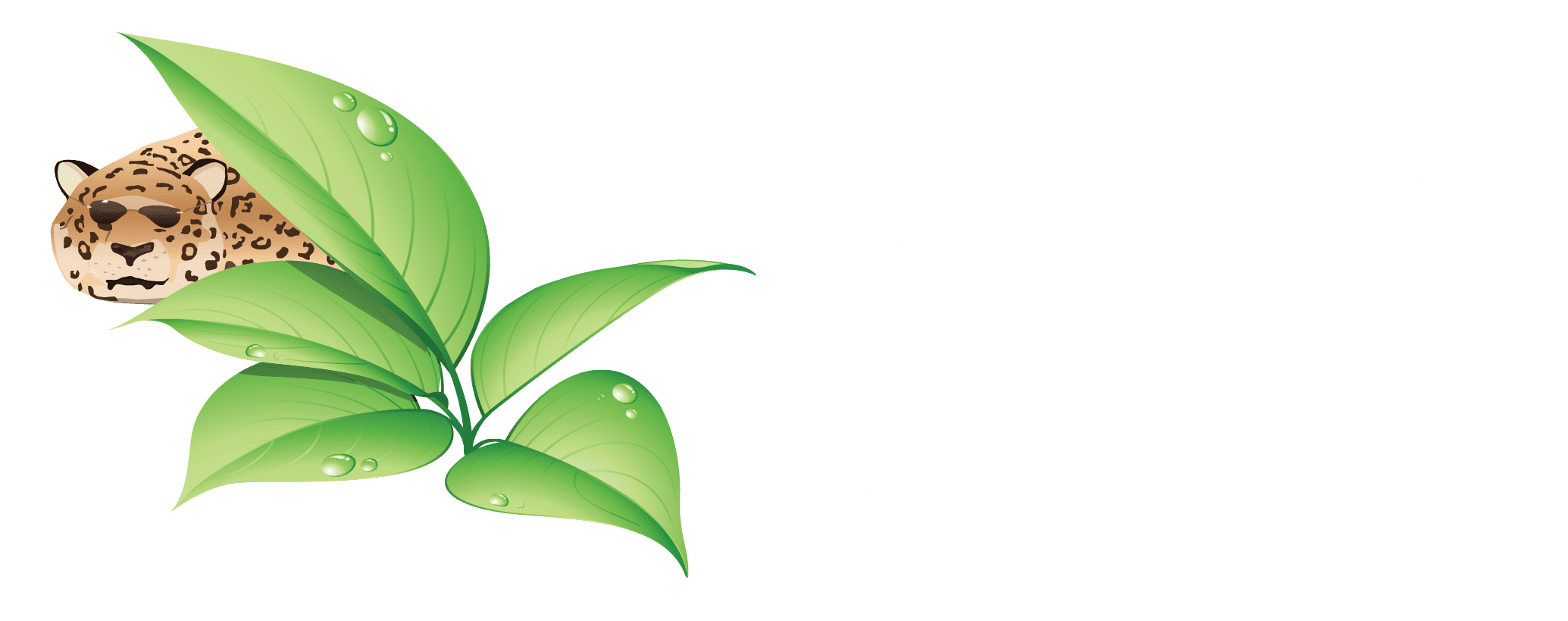 Tropical Plant Rentals