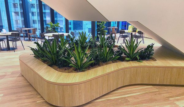 indoor plants brisbane