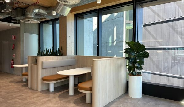 a plant hire near me