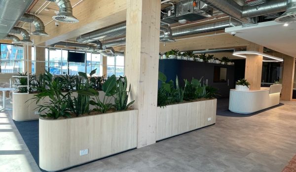 indoor plants for office