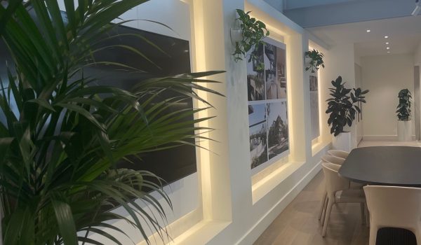 indoor plants sydney